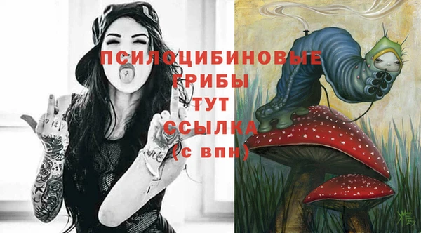 не бодяженный Белокуриха