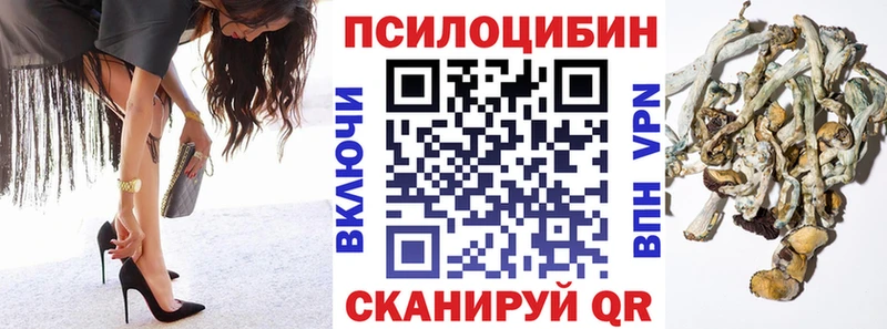 Галлюциногенные грибы мицелий  Щёлкино 